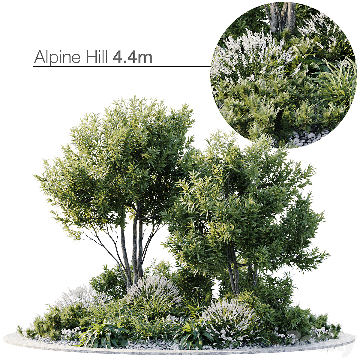 Alpine Hill 6.1