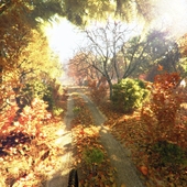Осенний кадр