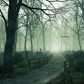 Лес в тумане (сделано по референсу)