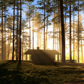 Cabin in the woods. Sunrise