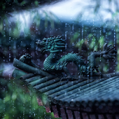 CGI Rain 3D