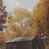 Заброшенный дом в осеннем лесу