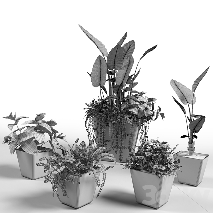 Exotic flowers in pot - Indoor - 3D model