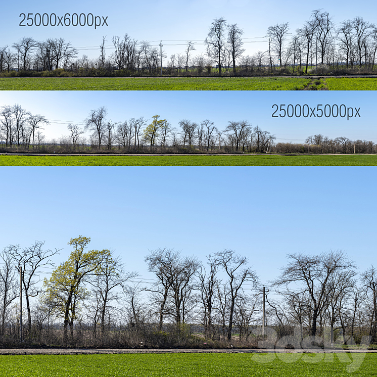 Panoramas with bare trees. 2 pcs - Panorama - 3D model