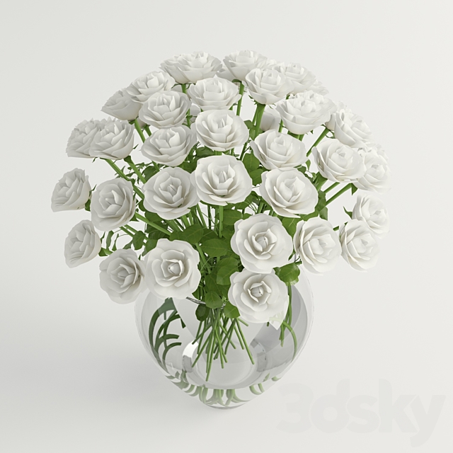 
                                                                                                            white roses - white roses
                                                    