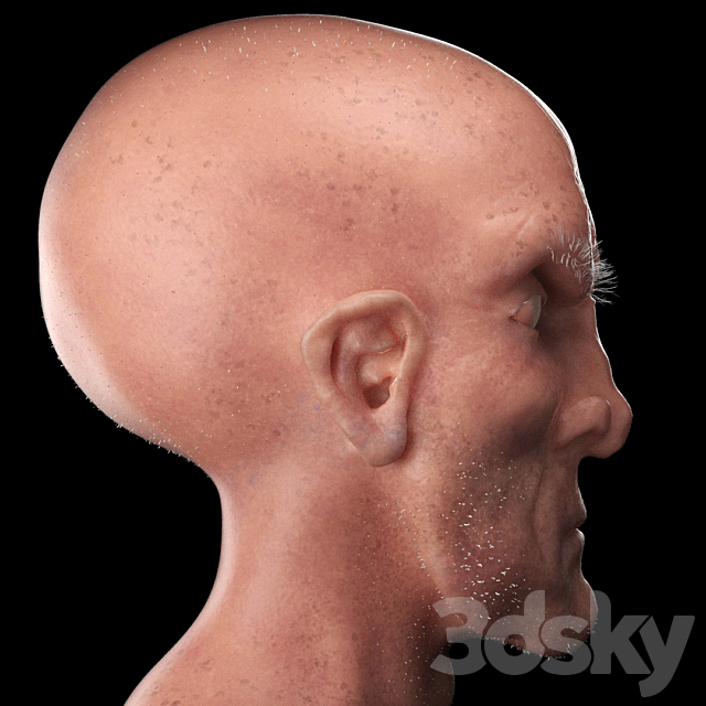 
                                                                                                            Statue Stylized Head
                                                    