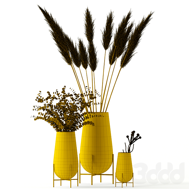 
                                                                                                            Plants in Echasse Vases
                                                    