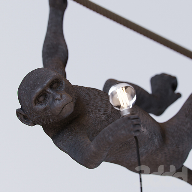 
                                                                                                            Monkey Lamp Swing
                                                    